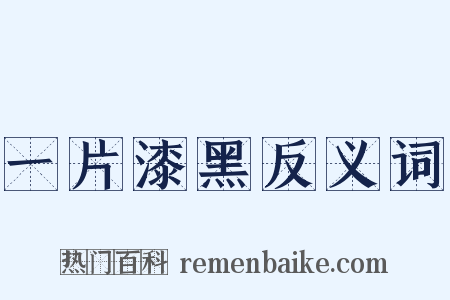 一片漆黑反义词是什么意思的图片
